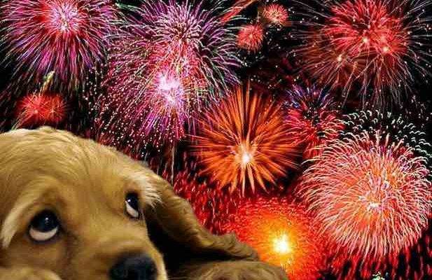 Anxiety Around Fireworks?